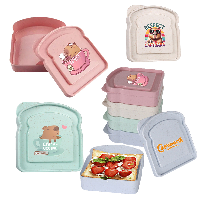 Food Storage With Colander - 카피바라 샌드위치 음식 보관 케이스 컨테이너