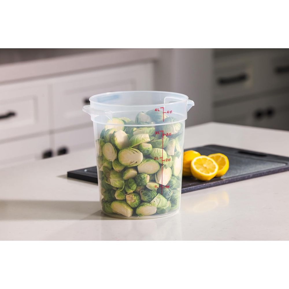 4쿼트 BPA 프리 식품 보관 용기(뚜껑 포함) - 베 - Food Storage Quart Containers 리뷰 및 가격