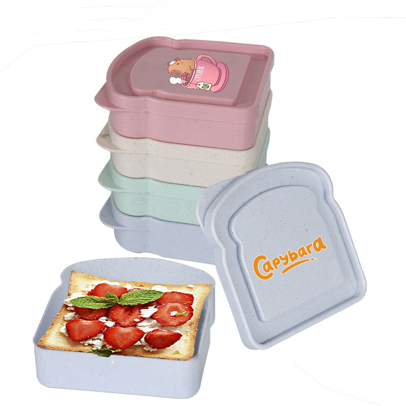 카피바라 샌드위치 음식 보관 케이스 컨테이너 샐러드 과 - Food Storage With Colander 리뷰 및 가격