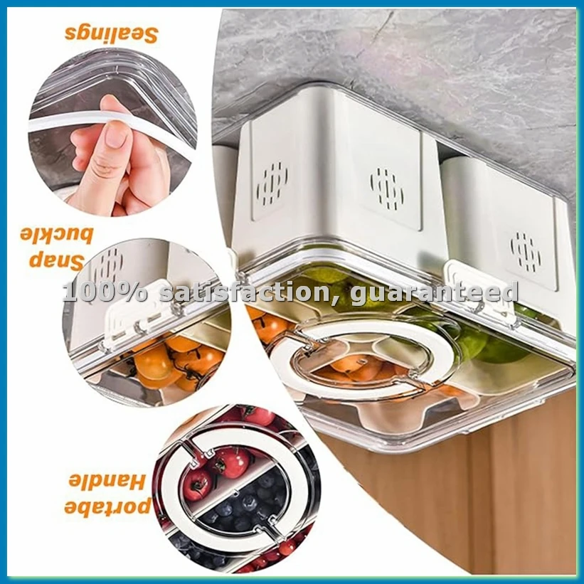 대형 피크닉 냉장고 음식 보관용 과일 트레이, 주방용  - Food Storage Box 리뷰 및 가격