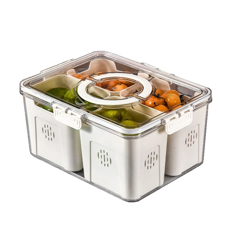 대형 피크닉 냉장고 음식 보관용 과일 트레이, 주방용  - Food Storage Box 리뷰 및 가격