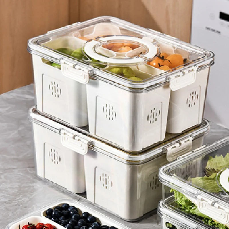 대형 피크닉 냉장고 음식 보관용 과일 트레이, 주방용  - Food Storage Box 리뷰 및 가격